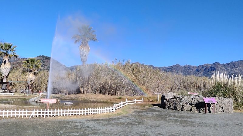 Planning A Visit To Calistoga And The Geyser