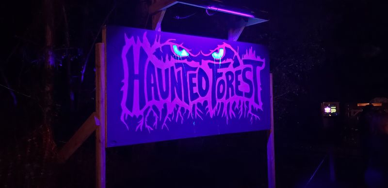 Why This North Carolina Haunted Trail Is A Must-Try For Thrill Seekers - Decor Hint When Actors Get Close Enough To Make You Jump