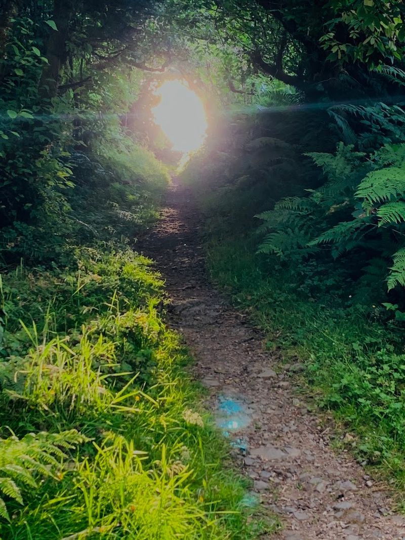 Trail Distance And What Hikers Can Expect Underfoot