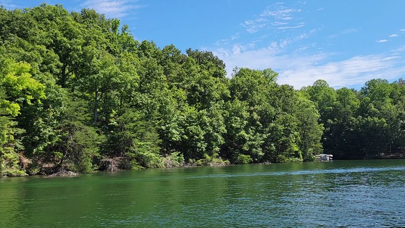 Belews Lake, Stokesdale