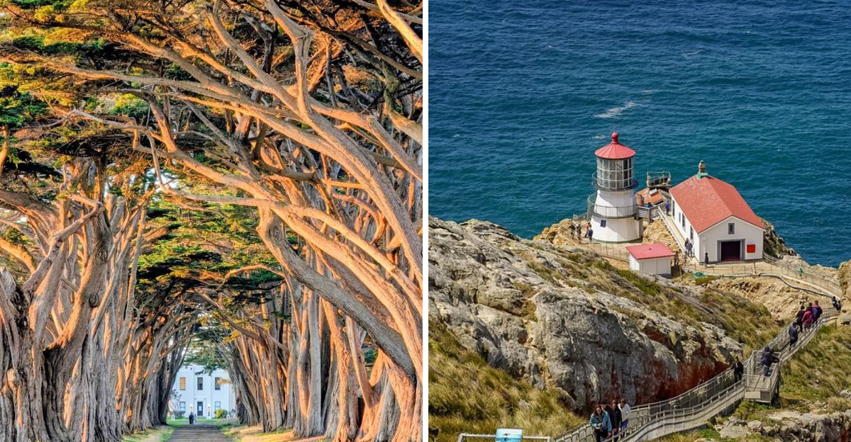 If Youre Craving Real Quiet This Spring This Northern California Escape Is It - Decor Hint