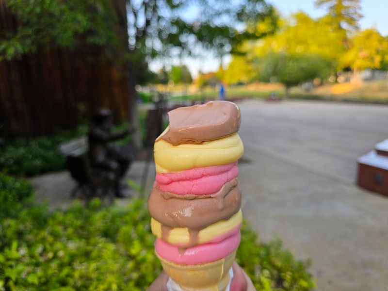 The Signature Dense And Creamy Soft-Serve