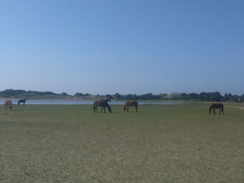 Harkers Island, Carteret County