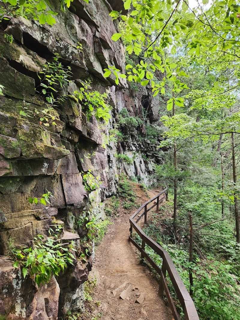 This Breathtaking Natural Wonder Providence Canyon State Park Georgia Is A 2026 Must-Visit - Decor Hint Year-Round Accessibility and Extended Summer Hours