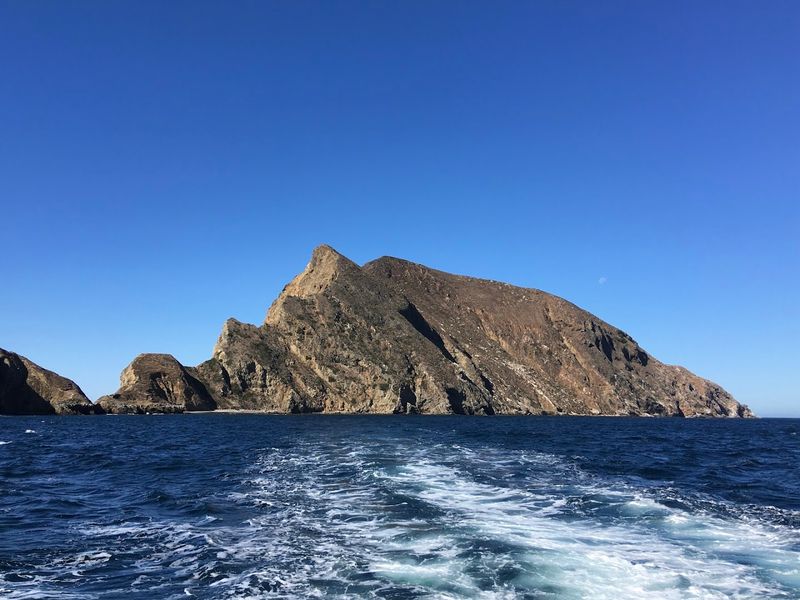 California's Remote Island That Feels Like Another World - Decor Hint Kelp Forests Make The Waters Around Anacapa World-Class
