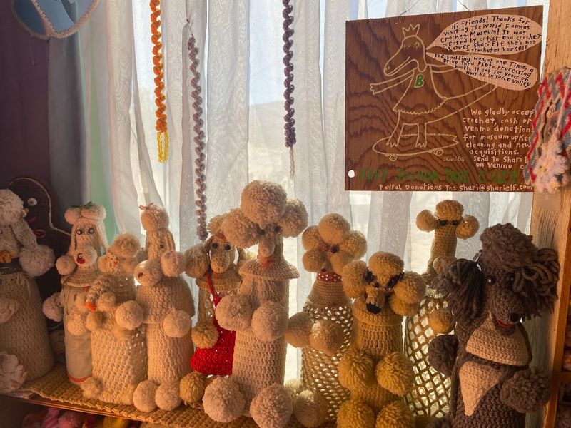 Shari Elf Founded The Museum Without Knowing How To Crochet