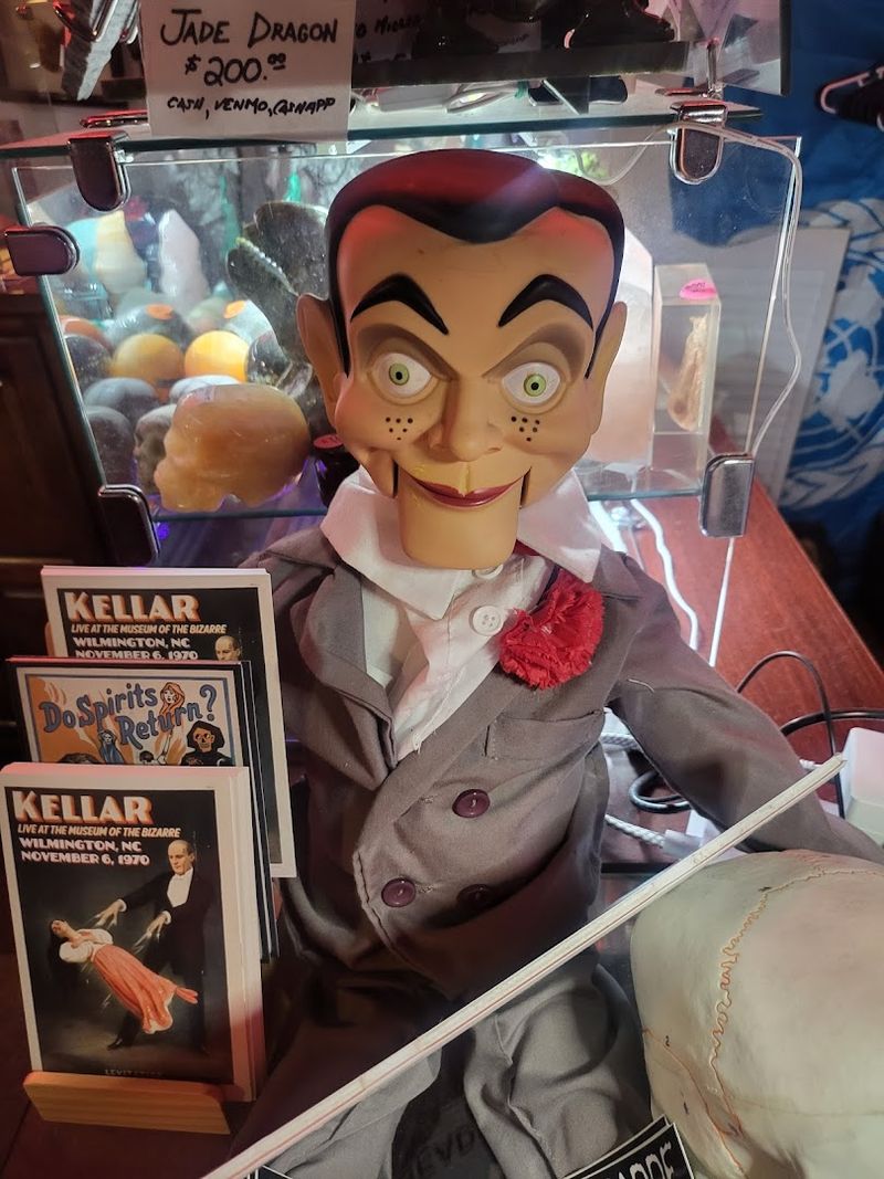 Budget-Friendly Admission Makes It Accessible To Everyone