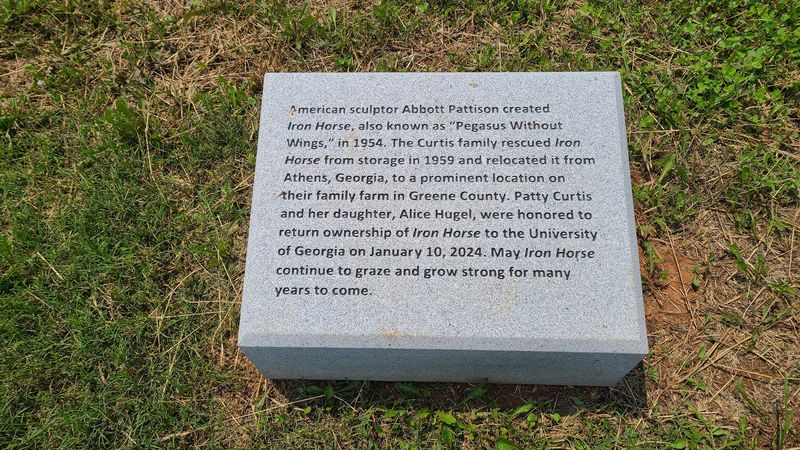 The Shifting Public Perception of the Art