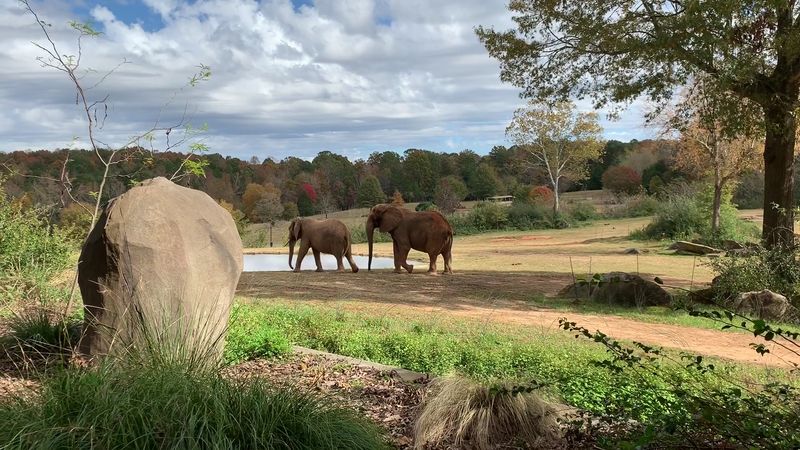 Asheboro And Randolph County