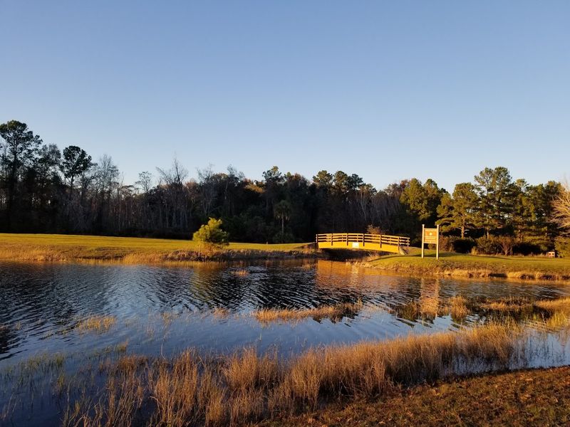 15 Georgia Beachfront Campgrounds Where You Can Camp Steps From The Water - Decor Hint St. Simons Island – Blythe Island Regional Park