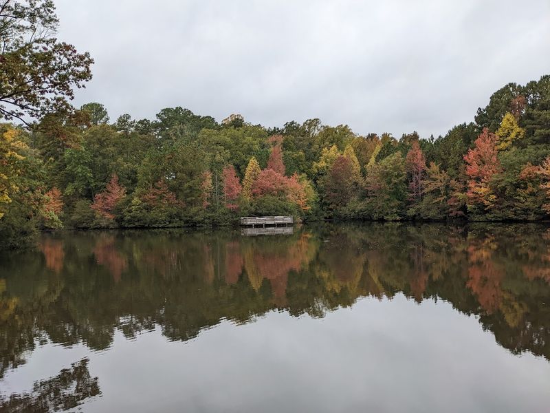 The Best Easter Egg Hunts In North Carolina Parks And Gardens This Spring - Decor Hint Seagroves Farm Park, Apex