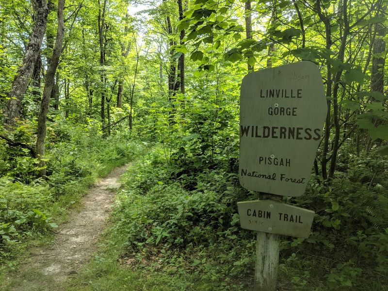 Hike The Rugged Trails Of Linville Gorge Wilderness