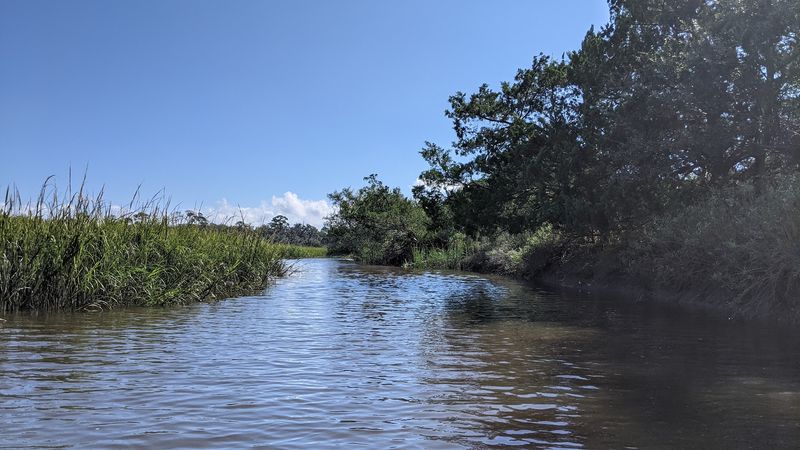 This Georgia Beach Town Is Low-Key, Gorgeous, And Waiting To Be Discovered - Decor Hint Nature Tours