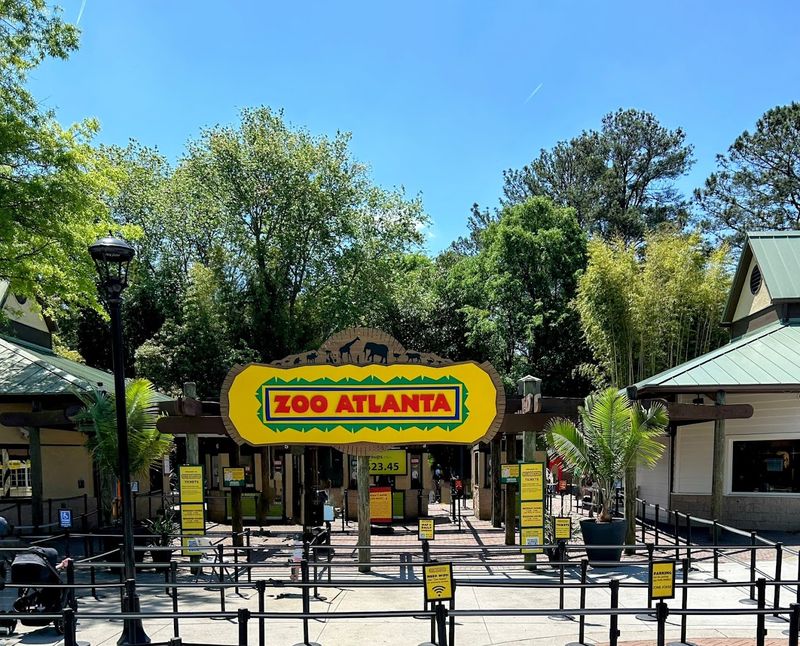 This Atlanta Georgia Gem Began With Circus Animals In 1889 And Is Now A Leading Research Zoo - Decor Hint KIDZone and Treetop Tykes Trail