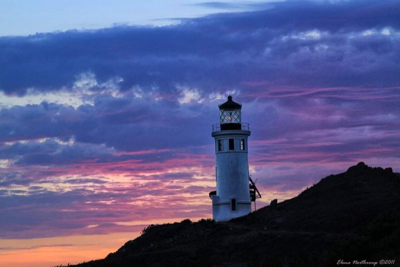 California's Remote Island That Feels Like Another World - Decor Hint Camping On Anacapa Means Sleeping Under Stars With No Distractions