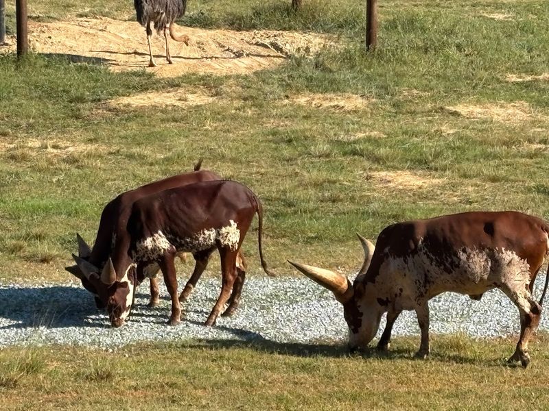 KhzwiPgz dT 3nFh - Decor Hint