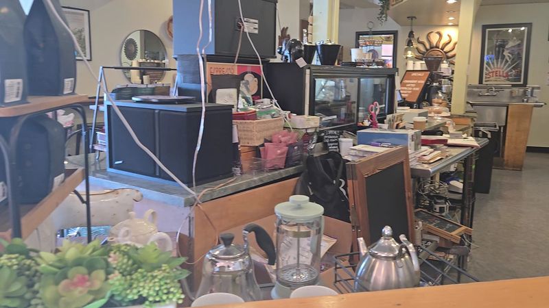 Affordable Pricing That Makes Regular Visits Easy