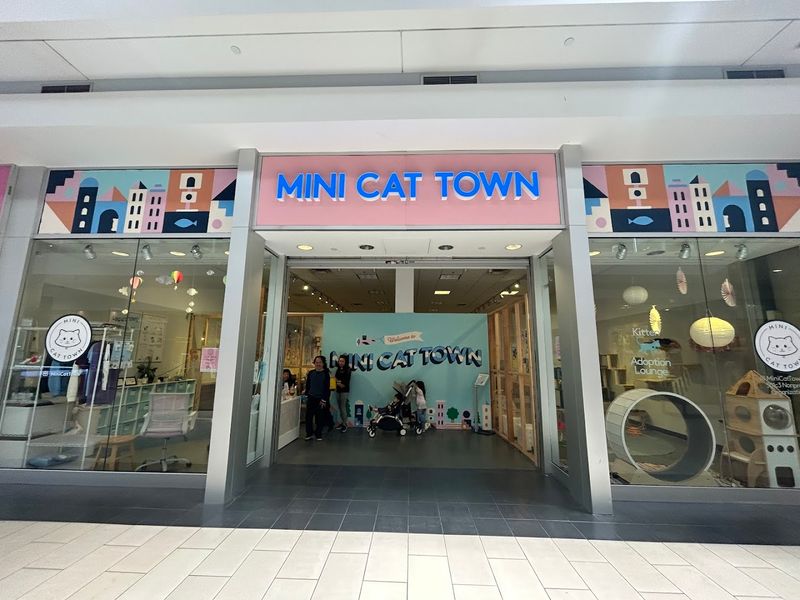 10 Cozy Cat Cafes In California Where You Can Relax With Adorable Felines - Decor Hint Mini Cat Town