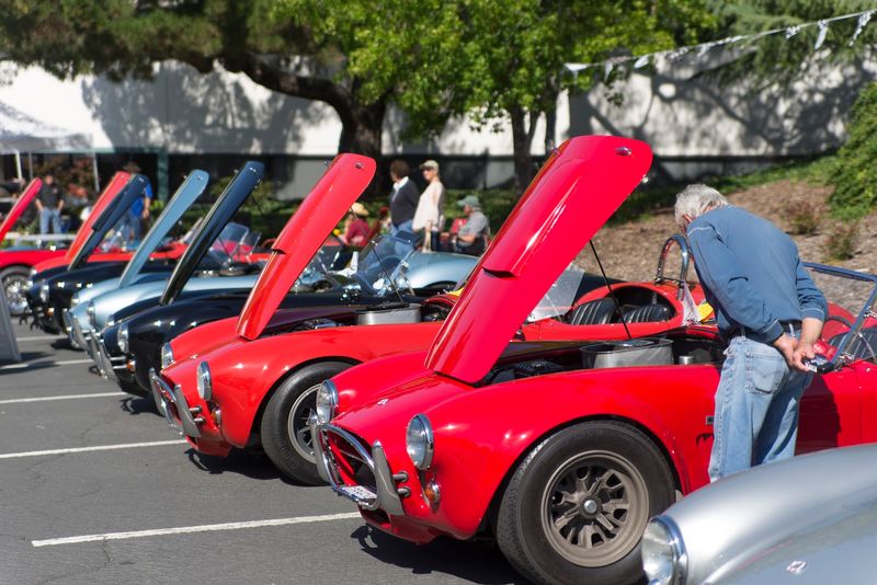 Annual Cobra Day Car Show And Special Events Throughout The Year