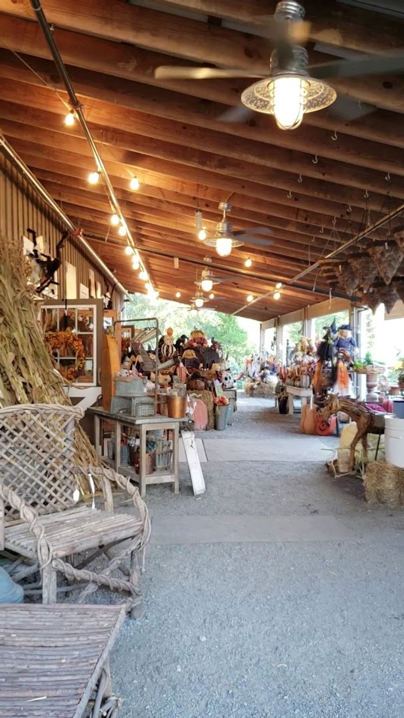 Award-Recognized Excellence