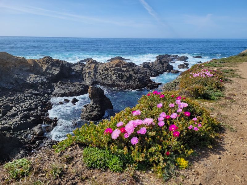 These 12 Meaningful California Destinations Are Perfect To Visit On International Women's Day - Decor Hint Mendocino Coast Botanical Gardens, Fort Bragg