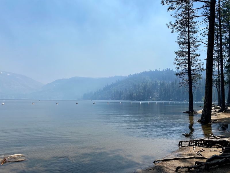 Pinecrest Lake Beach, Pinecrest
