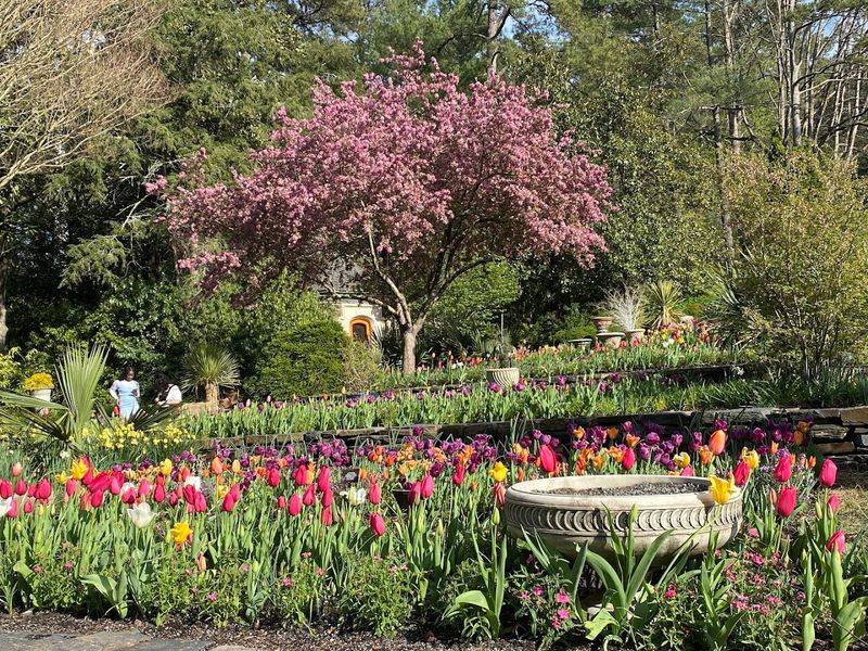 Sarah P. Duke Gardens