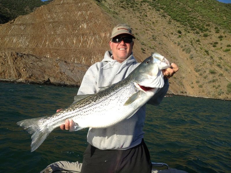 17 Best Fishing Spots In California Where The Catch Is Worth It This Spring - Decor Hint Castaic Lake