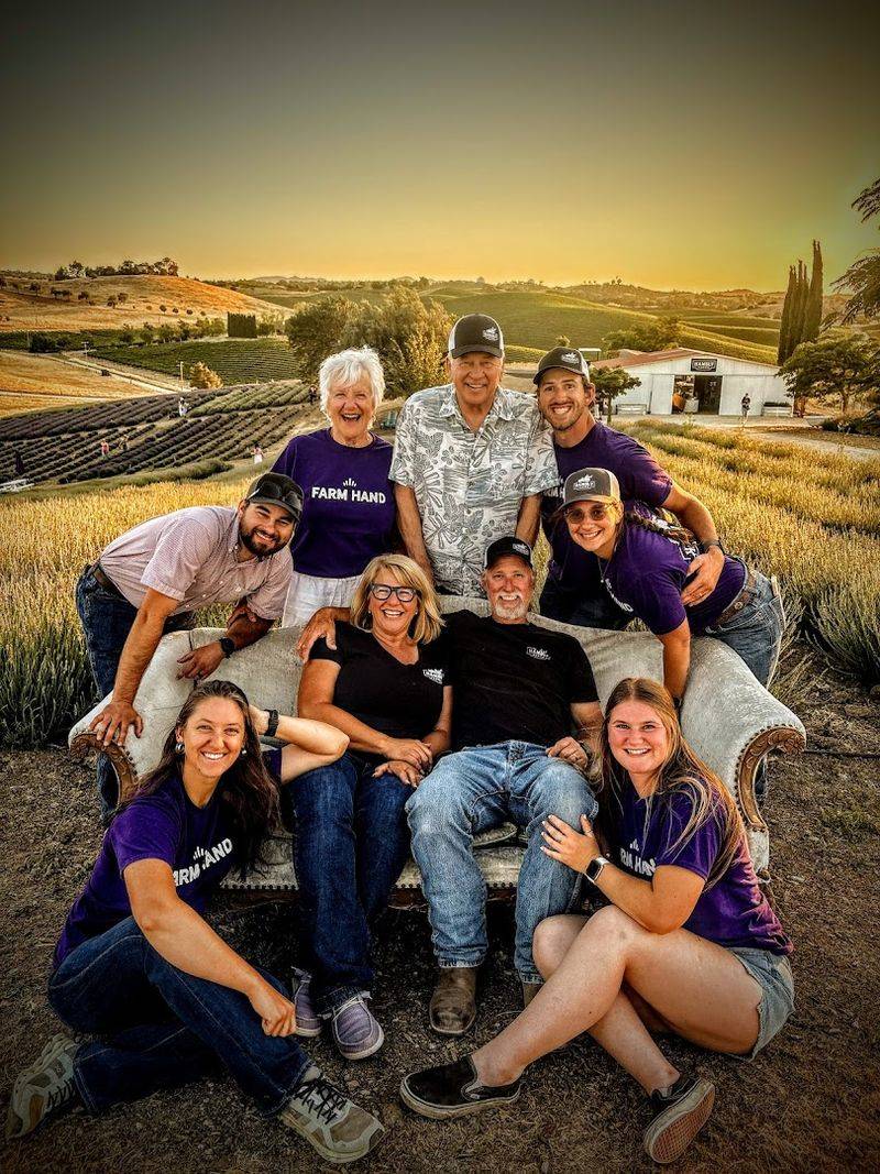 Guided Farm Tours Offer A Deeper Look At Lavender Growing