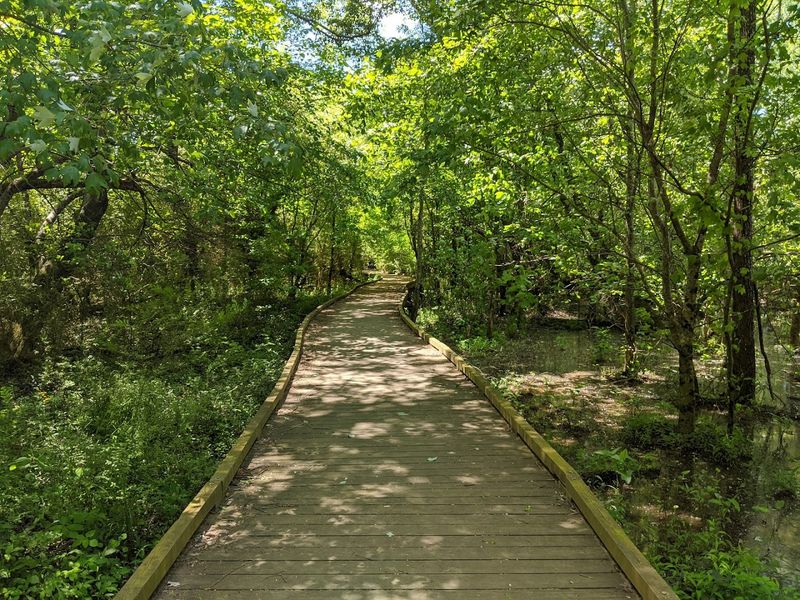 Peaceful Escape From City Life