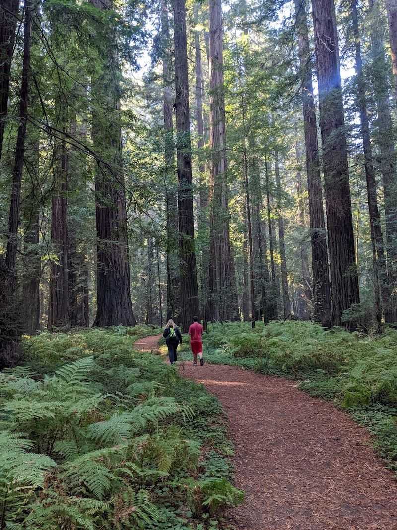 What It Actually Feels Like To Walk This Trail