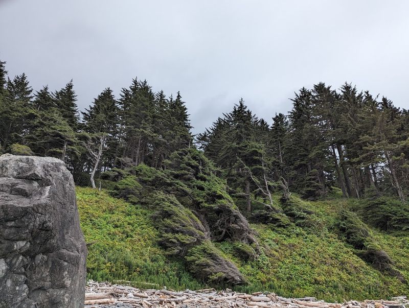 Photography Opportunities And What Makes The Light Special