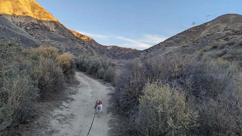 The Haskell Bike Park Core: A Hub Of Features