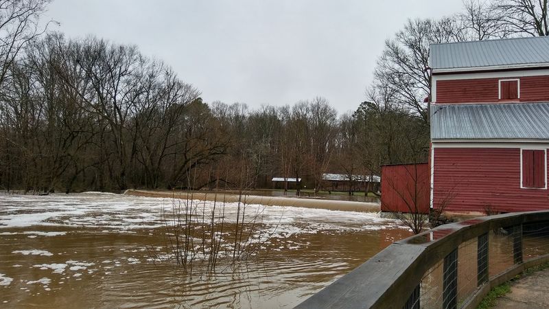 The Annual Country Fair That Draws Thousands