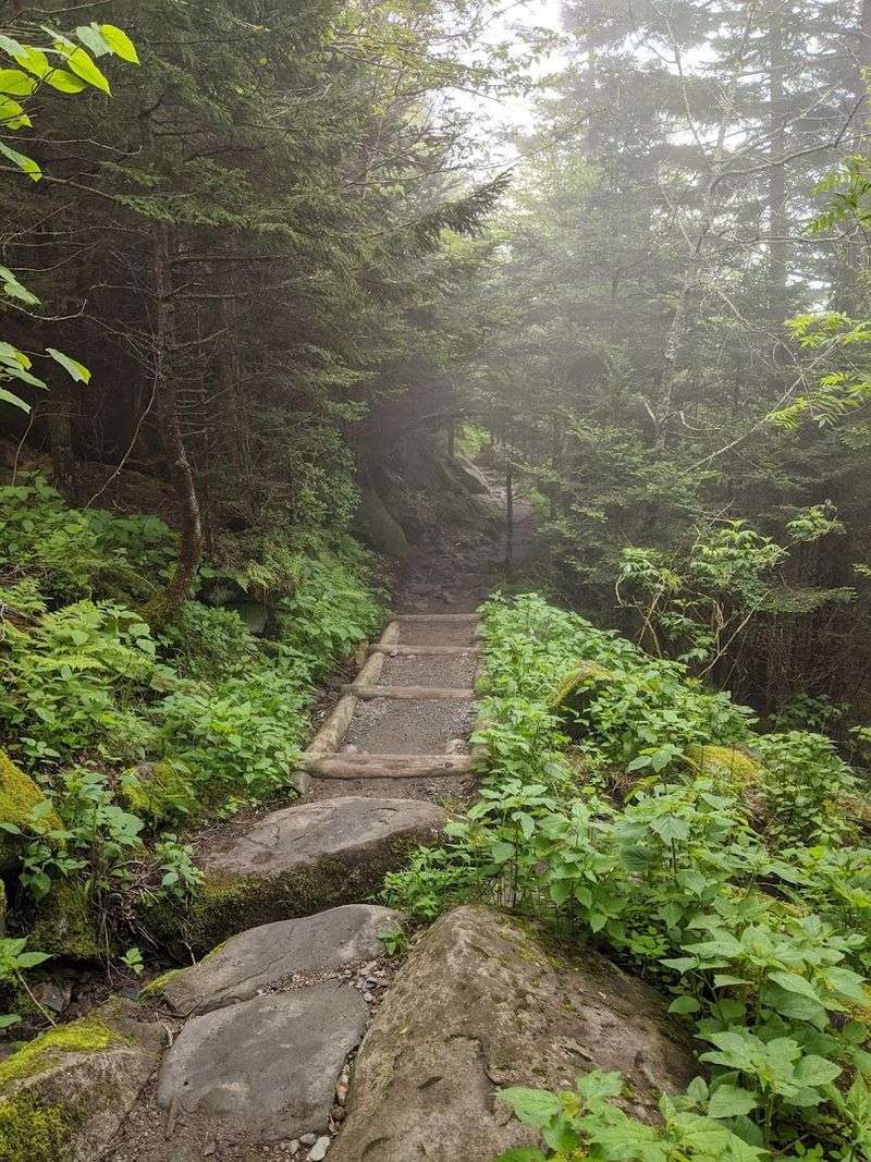 Forney Ridge Trail, Great Smoky Mountains National Park