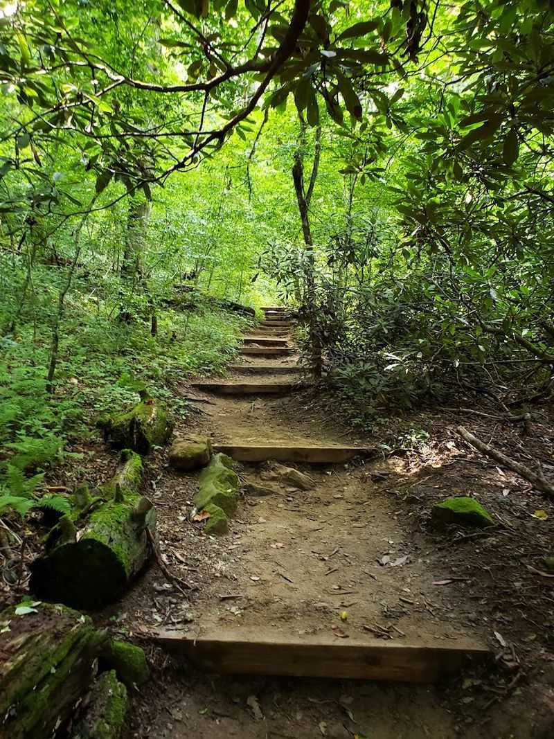 Looking Glass Rock Trail, Pisgah National Forest, Brevard