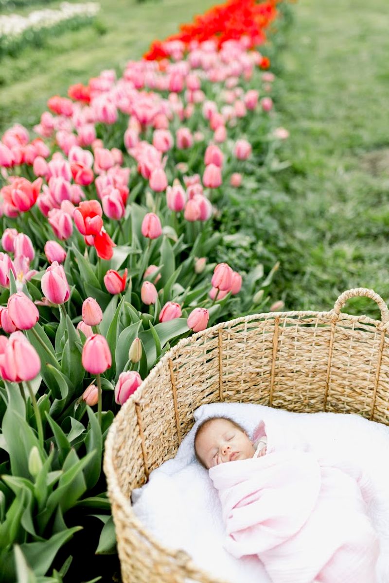 Photography Opportunities Around Every Corner