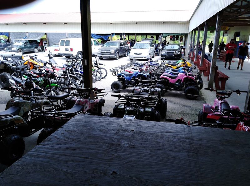 Pet-Friendly Policy That Welcomes Furry Friends