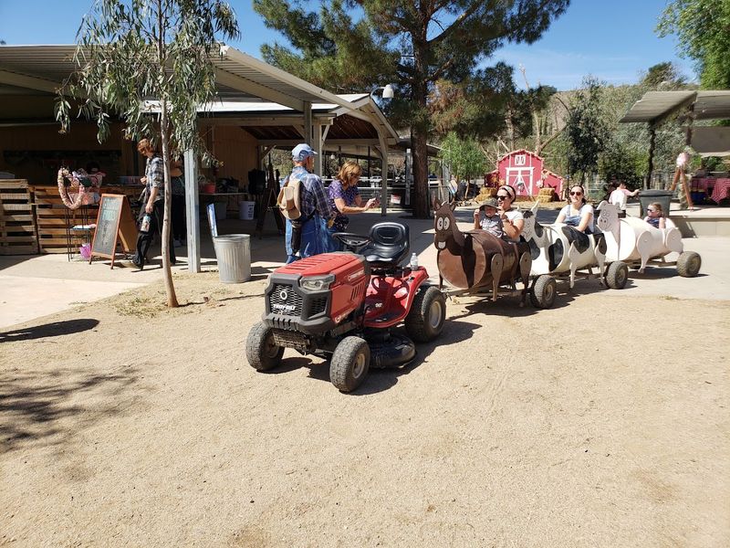 This Spring Camp Makes This California Farm The Ultimate Seasonal Destination In 2026 - Decor Hint A Growing Regional Favorite