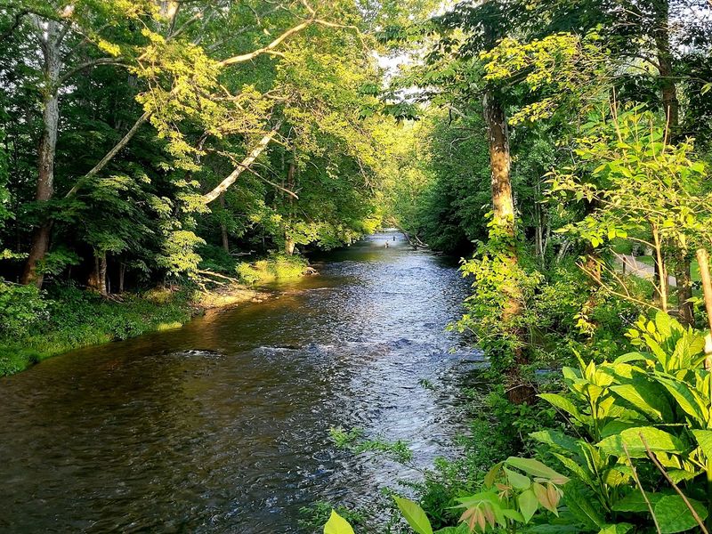 Demon Dog Of Valle Crucis, Watauga County