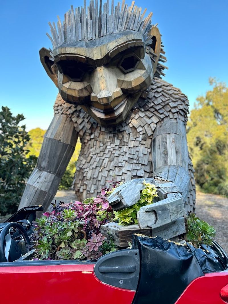 TROLLS: A Field Study By Thomas Dambo