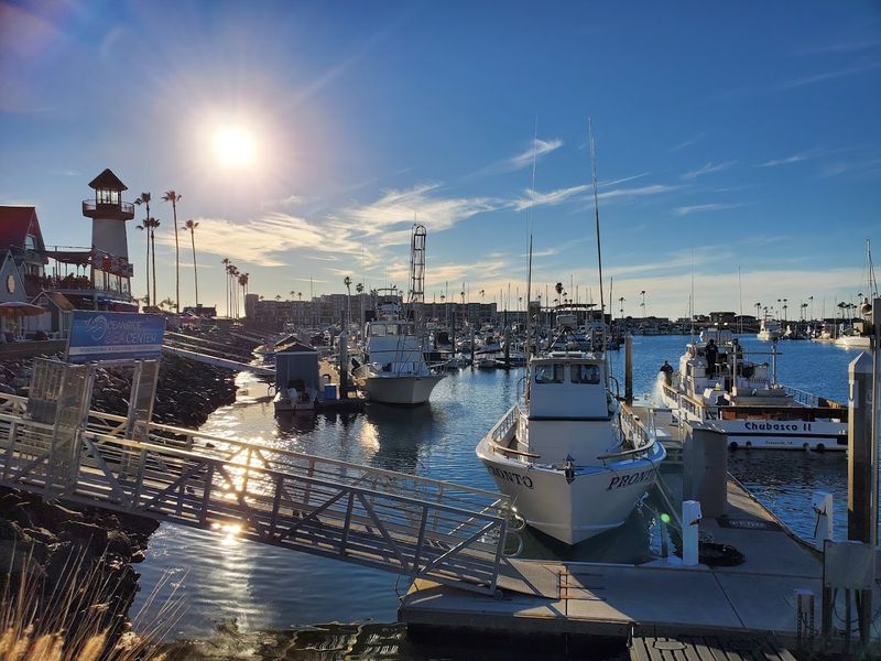 Whale Watching Departure Point