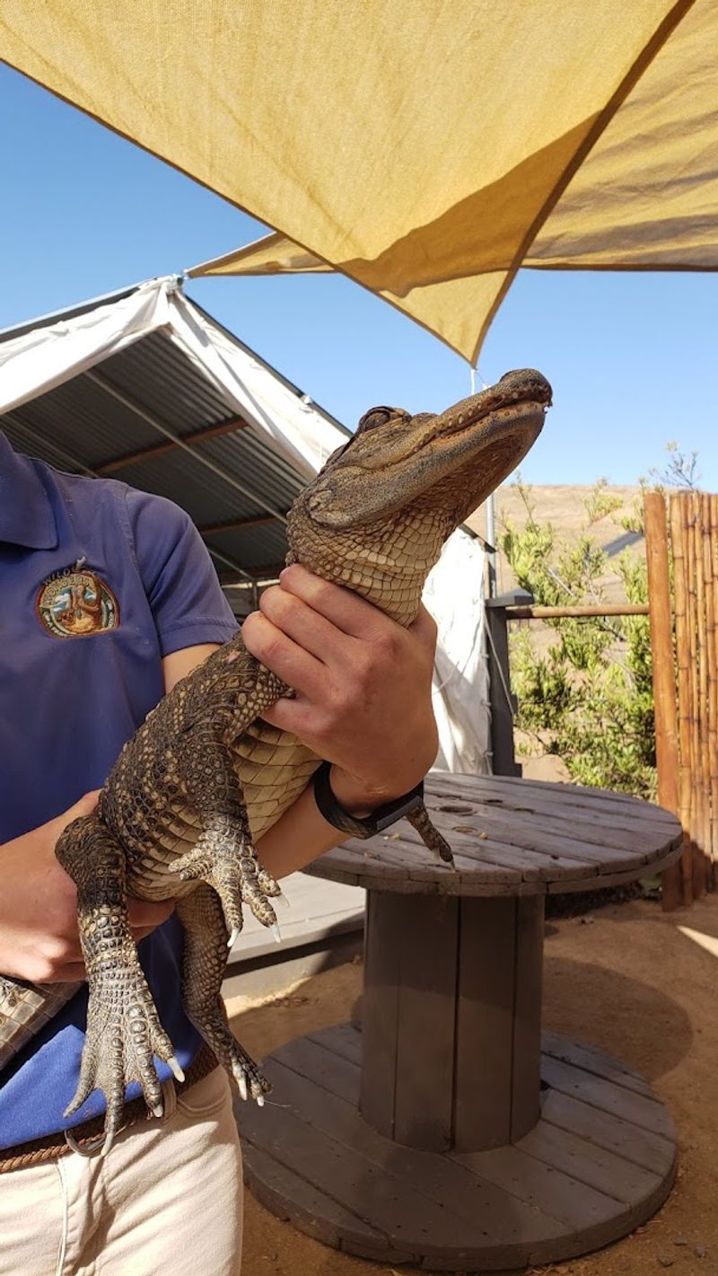 The Keeper-Educators Make A Noticeable Difference