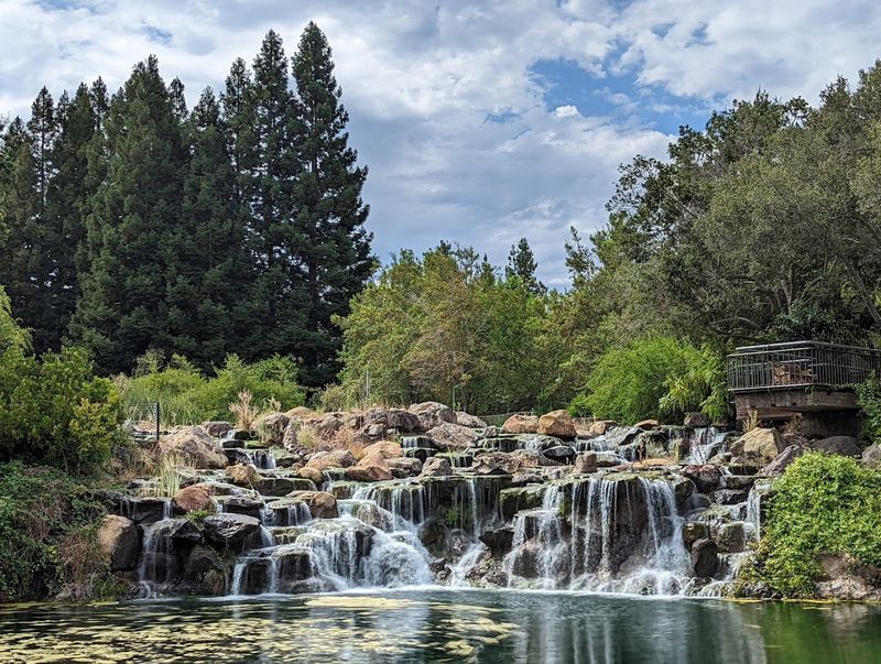 Sustainable Water Practices Behind The Scenes