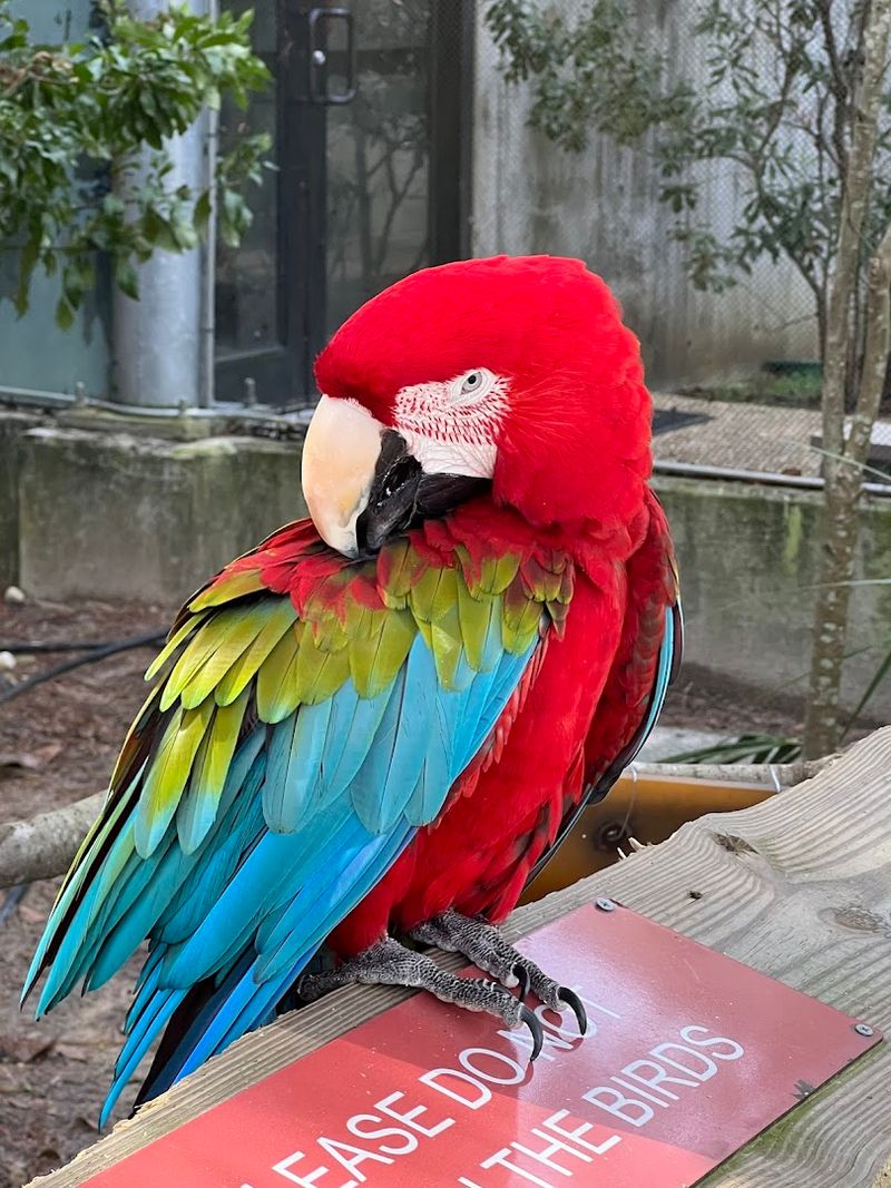 The Cypress Pond Aviary Experience