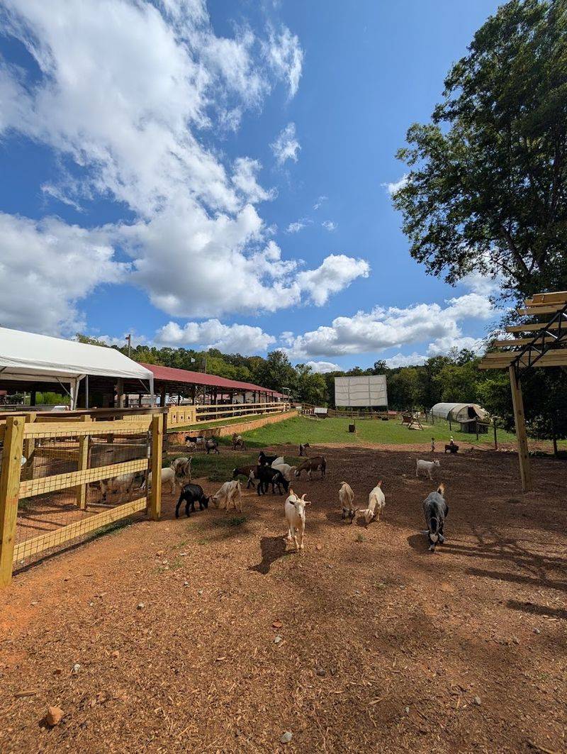 What To Expect When You Book A Session