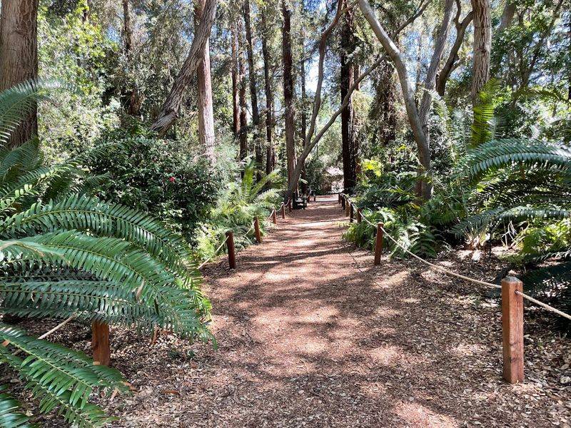 The Oak Forest Gives The Garden A Distinct Character