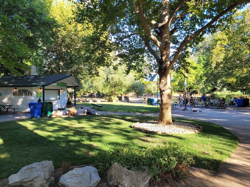 Murphys Community Park Along Angels Creek