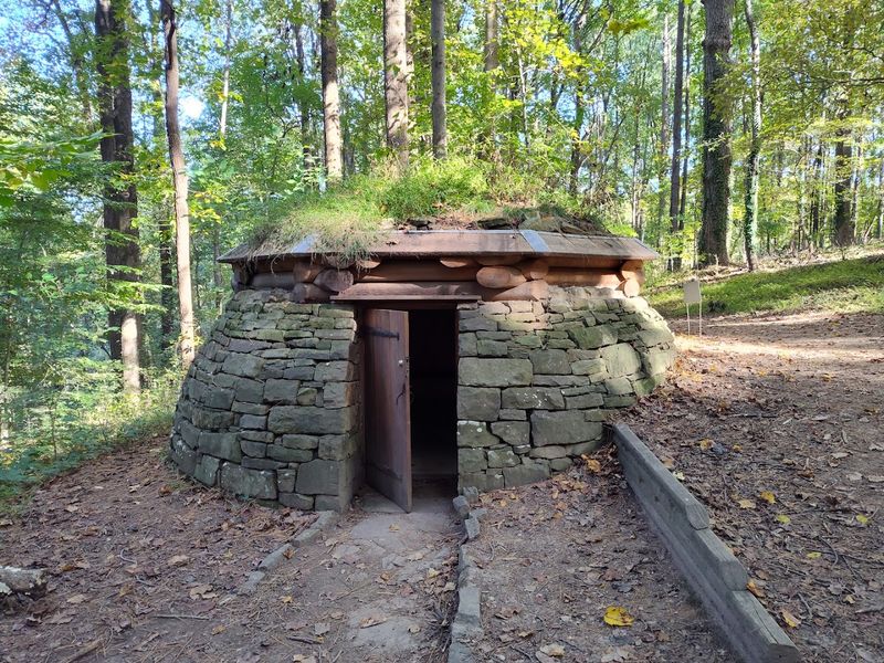 Cloud Chamber For The Trees And Sky