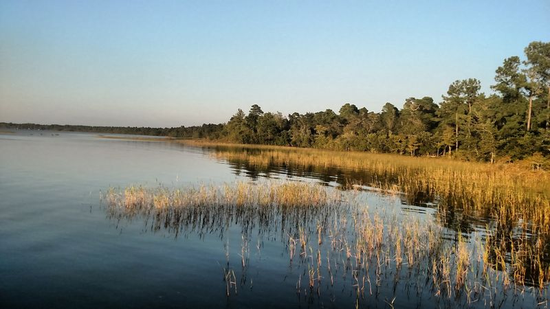 Lake Waccamaw State Park
